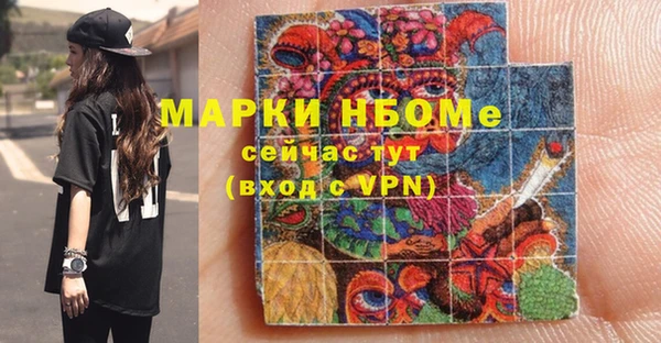 твердый Инсар