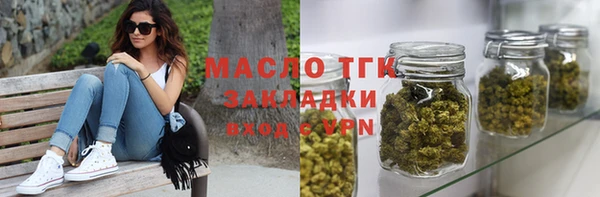 твердый Инсар