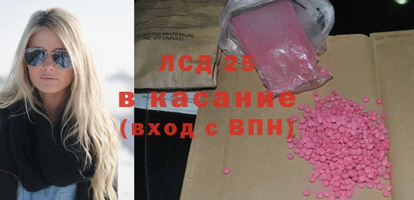 твердый Инсар