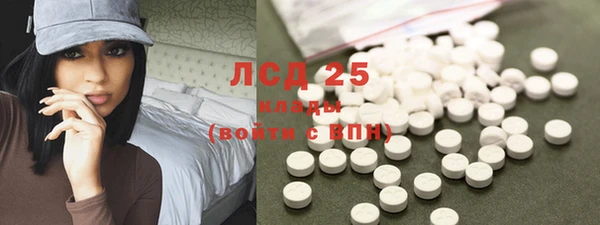твердый Инсар