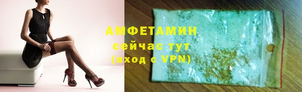 твердый Инсар