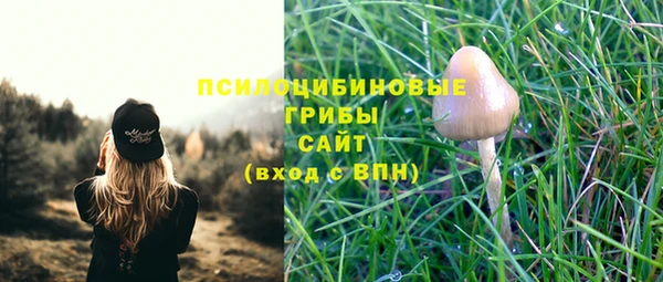 ALPHA PVP Иннополис