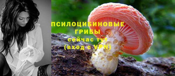 ALPHA PVP Иннополис
