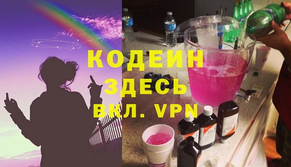 твердый Инсар