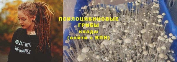ALPHA PVP Иннополис